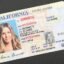 U.S. Driver's License